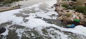 telangana’s musi riverfront needs biological cure  not a cosmetic veneer