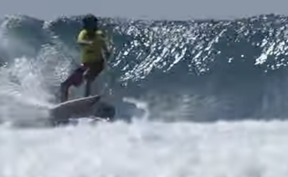 The Wave India Has Been Waiting For - The Wire