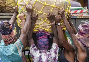 who are the parasites in india 