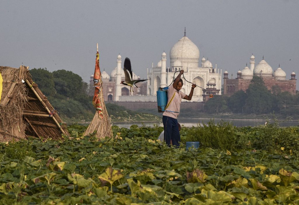 watch    the economy seems to be on the brink of a major crisis – we must reduce the fertiliser subsidy 