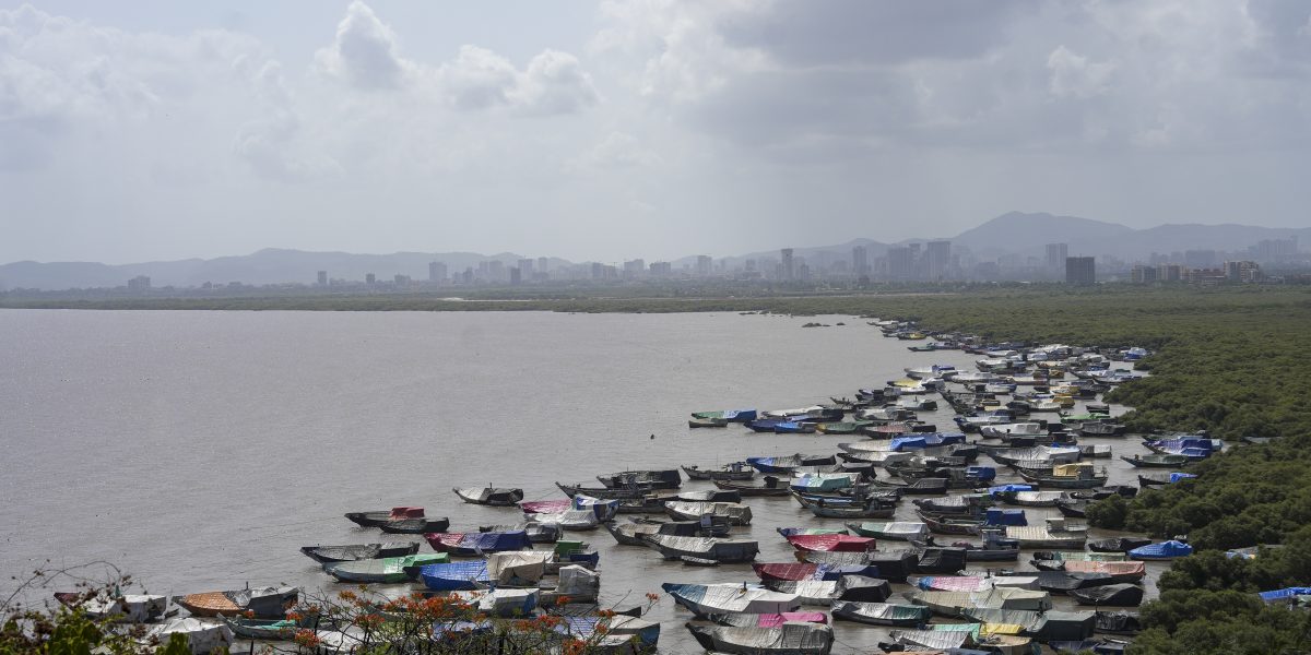 Maharashtra Data Centre Boom Faces Rising Flood Risks From Vanishing Mangroves