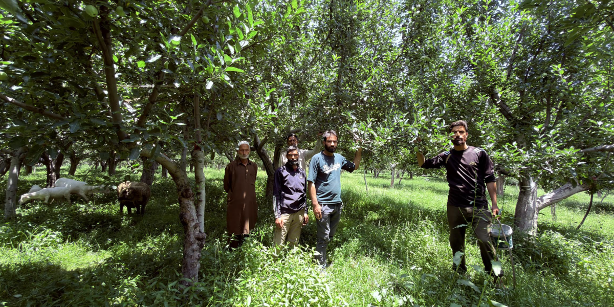 ‘We Will Die if the Government Takes Our Land Away', Say J&K Orchard Owners Served With Eviction Notice