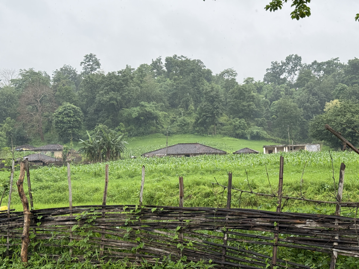 The villages where the Baiga community is largely located falls under the Birsa-Baihar region of Madhya Pradesh, which is largely made of forested areas making healthcare and basic amenities distant and difficult to reach. Photo: Jay Ramteke