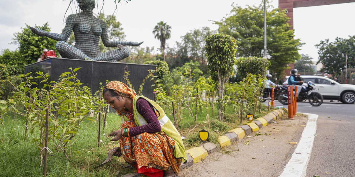 Combating Inequality, BRIC by BRIC