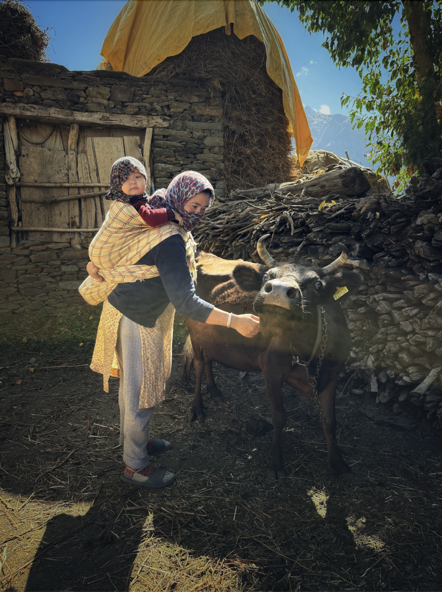 Everyday life in a sinking Lindur village