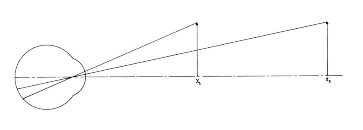 The object size constancy in the visual size perception